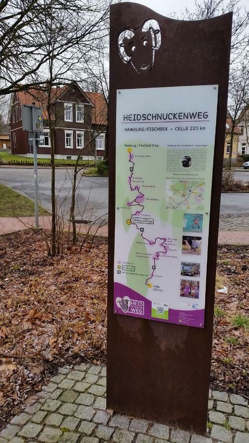 Ferienwohnung Parkblick 索尔陶 外观 照片